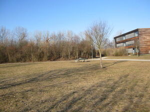 Das alternative Gelände für das neue Gymnasium